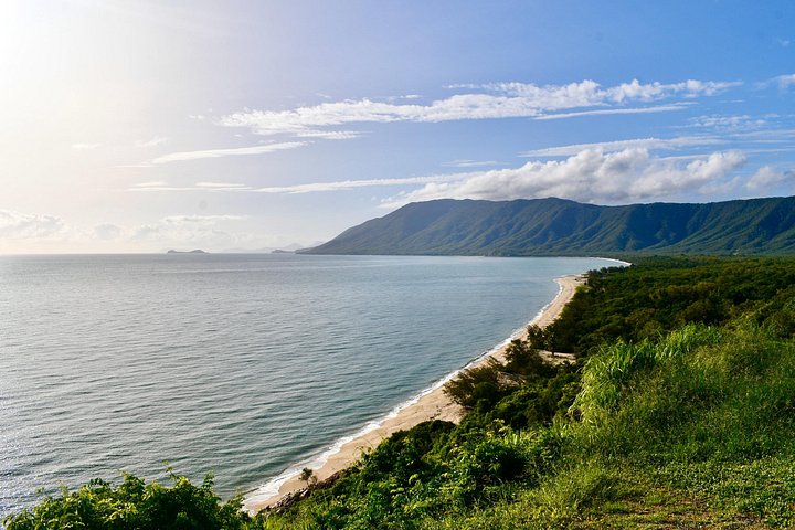 Tour di un'intera giornata alla scoperta della Daintree Rainforest, Mossman Gorge e Cape Tribulation a Cairns, Australia, foto 9 | wizardtrip