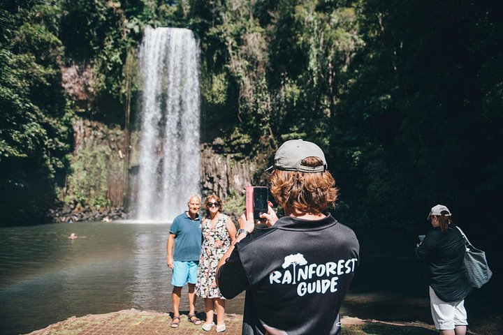 Tour de día completo explorando cascadas y selva tropical en Cairns, Australia, foto 6 | wizardtrip