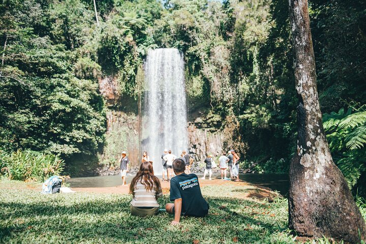 Tour de día completo explorando cascadas y selva tropical en Cairns, Australia, foto 7 | wizardtrip