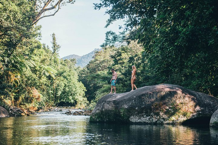 Tour de día completo explorando cascadas y selva tropical en Cairns, Australia, foto 11 | wizardtrip