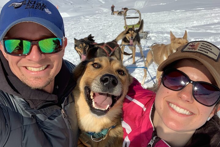 Opplev et autentisk hundekjøringseventyr i Alaska med Iditarod-hunder i Willow, Alaska, foto 6 | wizardtrip