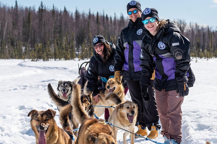Opplev et autentisk hundekjøringseventyr i Alaska med Iditarod-hunder i Willow, Alaska, foto 7 | wizardtrip