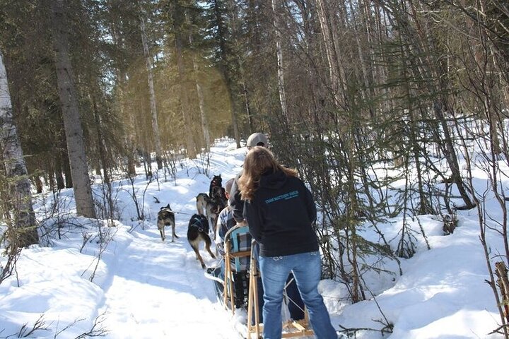 Opplev et autentisk hundekjøringseventyr i Alaska med Iditarod-hunder i Willow, Alaska, foto 10 | wizardtrip