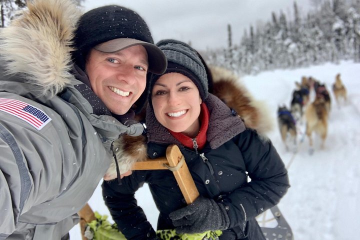 Opplev et autentisk hundekjøringseventyr i Alaska med Iditarod-hunder i Willow, Alaska, foto 15 | wizardtrip