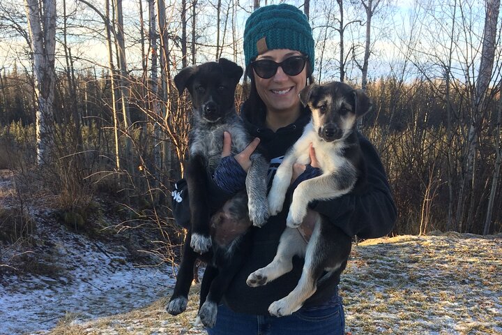 Opplev et autentisk hundekjøringseventyr i Alaska med Iditarod-hunder i Willow, Alaska, foto 18 | wizardtrip