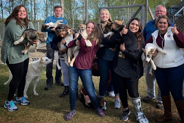 アラスカのプライベートコースで、チャンピオンハスキーとの本格的なサマー犬ぞり体験、写真6 | wizardtrip