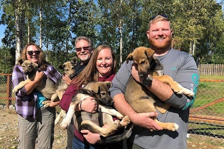 アラスカのプライベートコースで、チャンピオンハスキーとの本格的なサマー犬ぞり体験、写真9 | wizardtrip