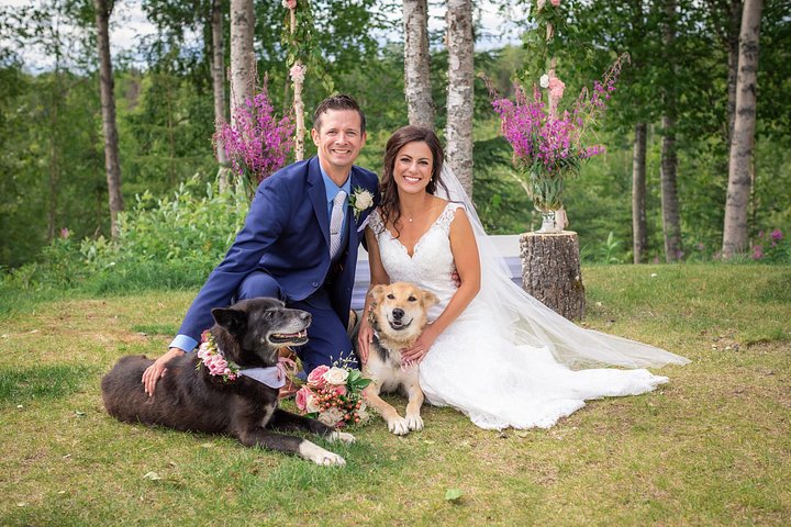 アラスカのプライベートコースで、チャンピオンハスキーとの本格的なサマー犬ぞり体験、写真15 | wizardtrip