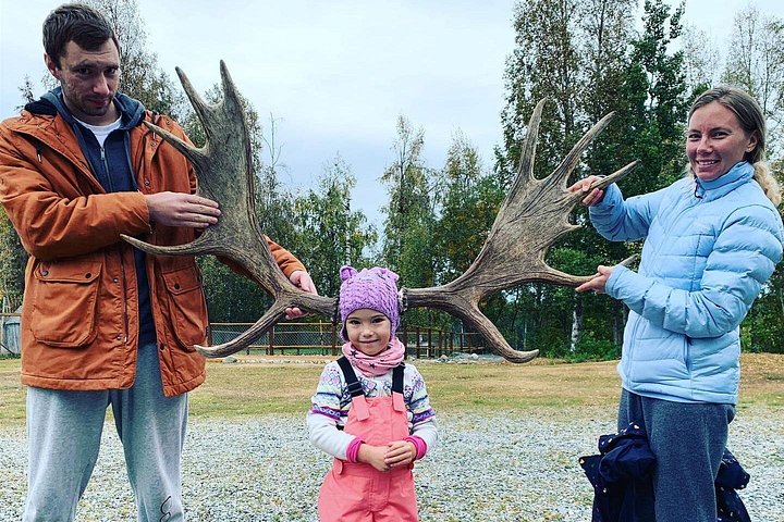 アラスカのプライベートコースで、チャンピオンハスキーとの本格的なサマー犬ぞり体験、写真16 | wizardtrip