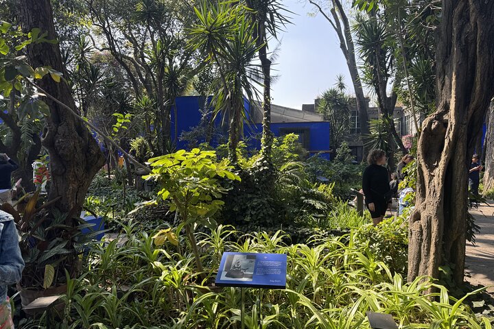 Guidad tur i Frida Kahlos Blå hus i Mexico City, utforskar hennes konst och liv, foto 28 | wizardtrip