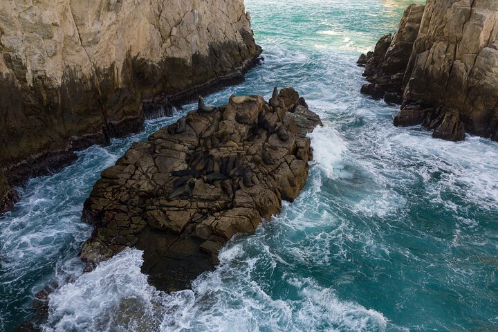 Kajak- und Schnorcheltour zum Arch von Cabo San Lucas, Lovers Beach und Pelican Rock, Foto 9 | wizardtrip