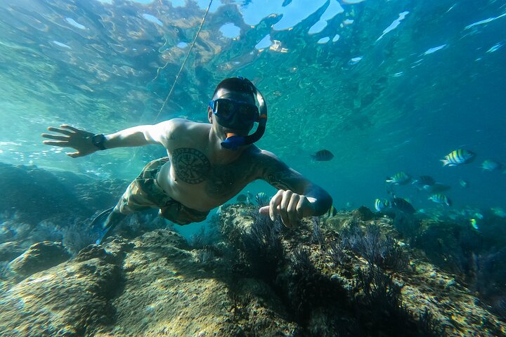 Kajak- und Schnorcheltour zum Arch von Cabo San Lucas, Lovers Beach und Pelican Rock, Foto 11 | wizardtrip