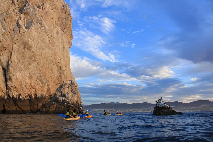 Kajak- und Schnorcheltour zum Arch von Cabo San Lucas, Lovers Beach und Pelican Rock, Foto 20 | wizardtrip