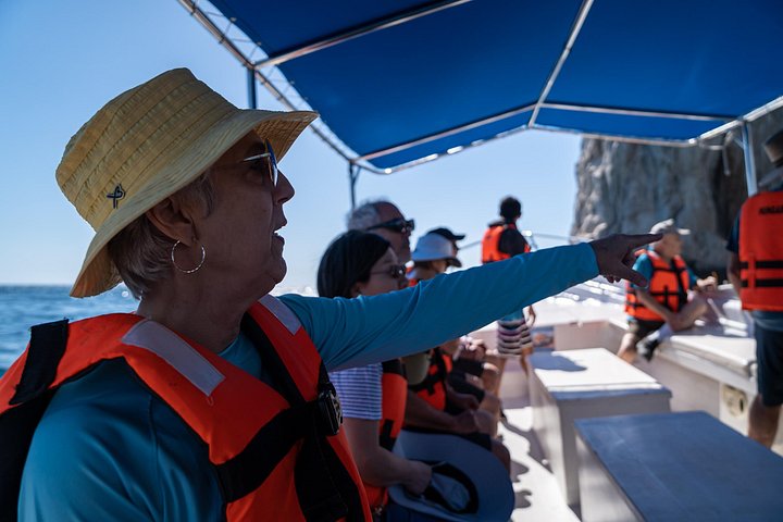 Valskådningstur i Cabo San Lucas, Mexiko, med knölvalar och bågen, foto 9 | wizardtrip