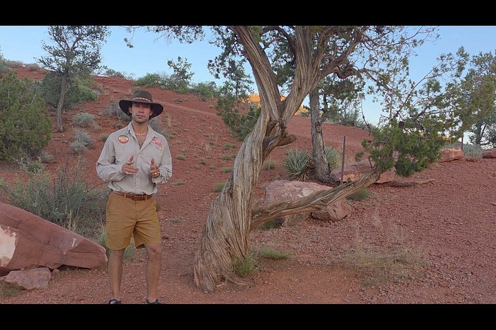 Passeio de vórtice em Sedona explorando locais espirituais e geológicos numa carrinha, foto 34 | wizardtrip