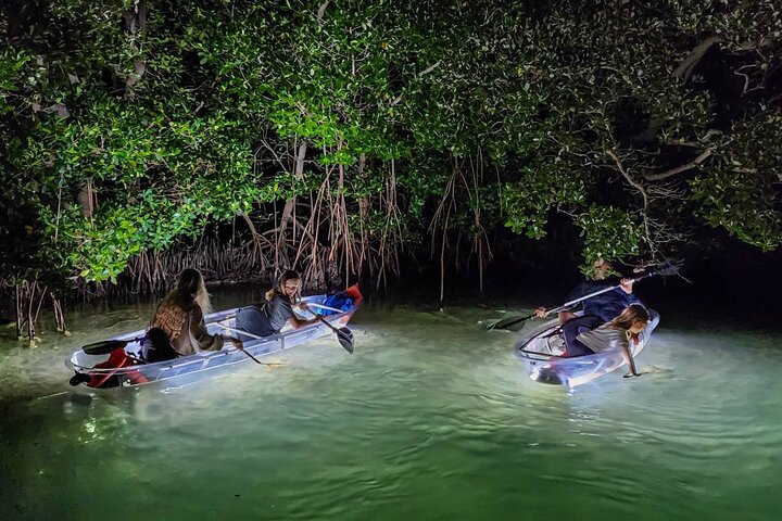 Utforska Sarasotas vatten på natten med upplysta klara kajaker, se marint liv och samla snäckor, foto 7 | wizardtrip