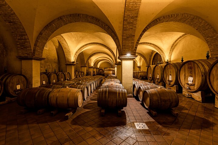 Naturskön vintur i Val d'Orcia från Florens som besöker Montalcino och Montepulciano, foto 7 | wizardtrip