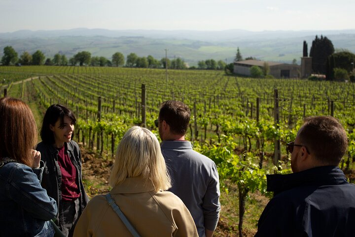 Naturskön vintur i Val d'Orcia från Florens som besöker Montalcino och Montepulciano, foto 10 | wizardtrip