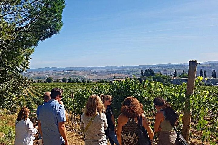 Naturskön vintur i Val d'Orcia från Florens som besöker Montalcino och Montepulciano, foto 16 | wizardtrip