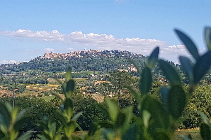 Naturskön vintur i Val d'Orcia från Florens som besöker Montalcino och Montepulciano, foto 21 | wizardtrip