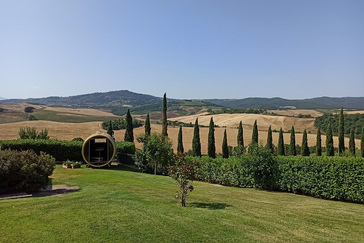 Naturskön vintur i Val d'Orcia från Florens som besöker Montalcino och Montepulciano, foto 22 | wizardtrip