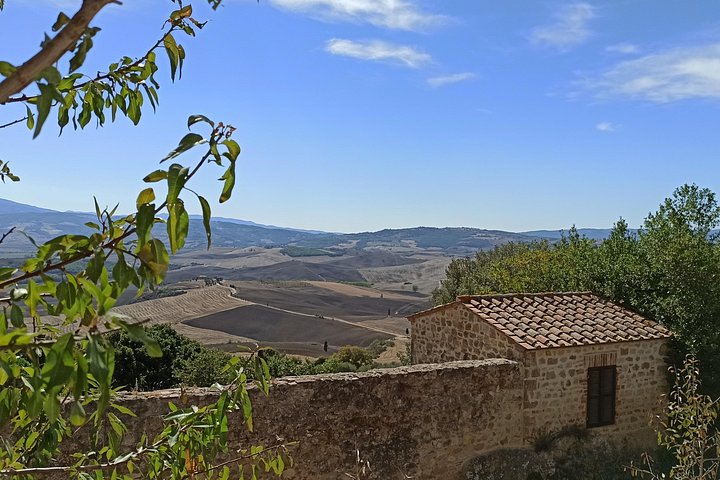 Naturskön vintur i Val d'Orcia från Florens som besöker Montalcino och Montepulciano, foto 24 | wizardtrip