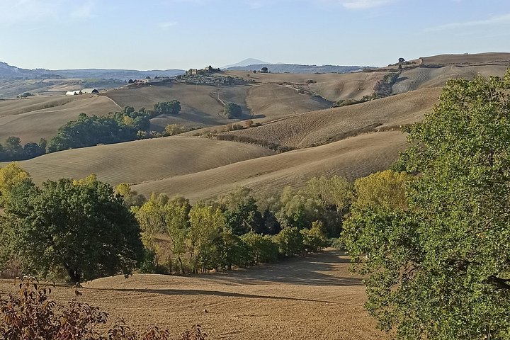 Naturskön vintur i Val d'Orcia från Florens som besöker Montalcino och Montepulciano, foto 25 | wizardtrip