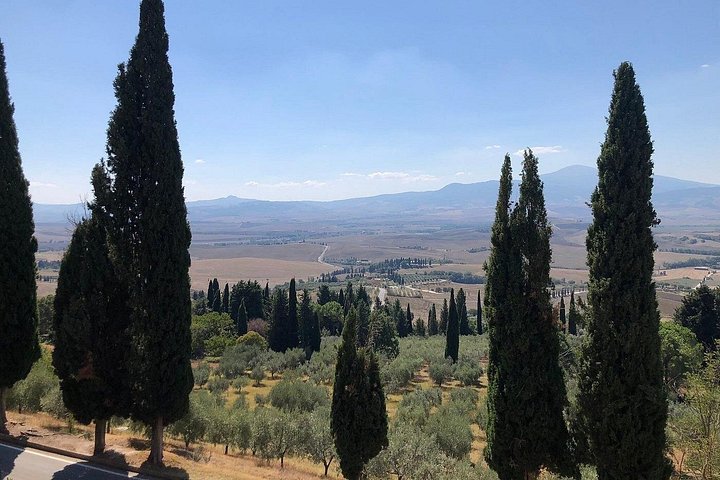 Naturskön vintur i Val d'Orcia från Florens som besöker Montalcino och Montepulciano, foto 29 | wizardtrip