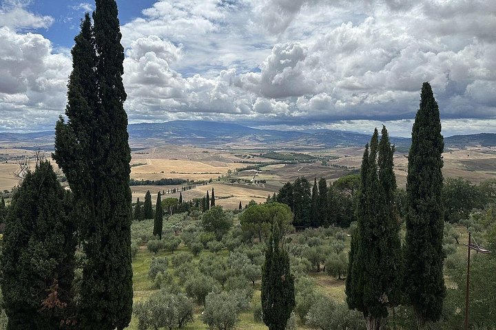 Naturskön vintur i Val d'Orcia från Florens som besöker Montalcino och Montepulciano, foto 31 | wizardtrip