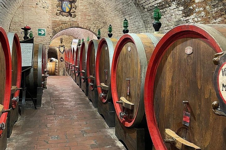 Naturskön vintur i Val d'Orcia från Florens som besöker Montalcino och Montepulciano, foto 33 | wizardtrip