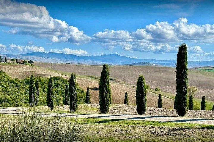 Naturskön vintur i Val d'Orcia från Florens som besöker Montalcino och Montepulciano, foto 35 | wizardtrip