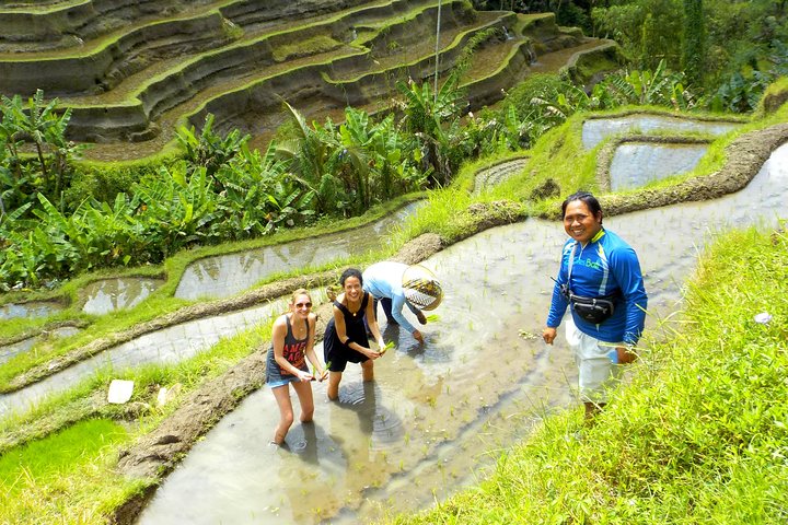 Passeio de bicicleta elétrica pelos terraços de arroz, templos e aldeias de Ubud na Indonésia, foto 7 | wizardtrip