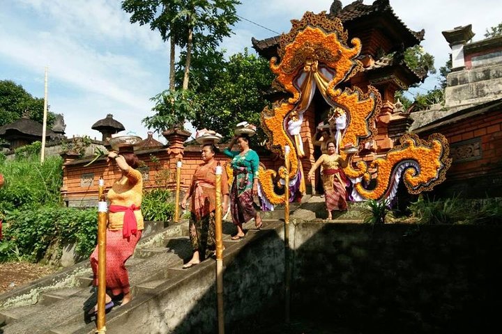 Passeio de bicicleta elétrica pelos terraços de arroz, templos e aldeias de Ubud na Indonésia, foto 8 | wizardtrip