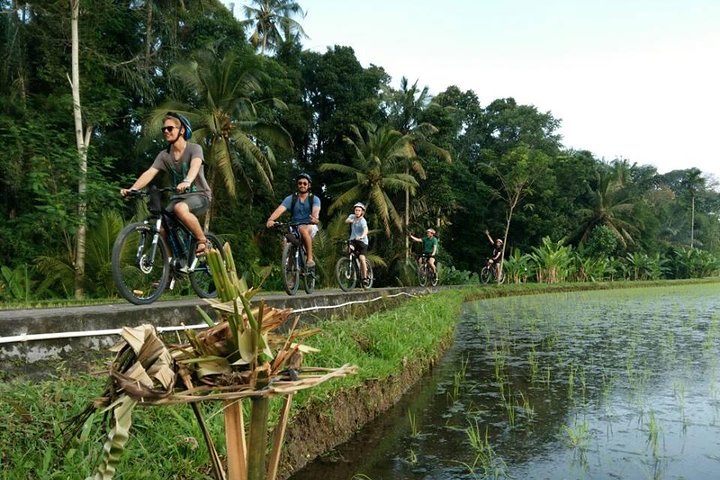Passeio de bicicleta elétrica pelos terraços de arroz, templos e aldeias de Ubud na Indonésia, foto 10 | wizardtrip