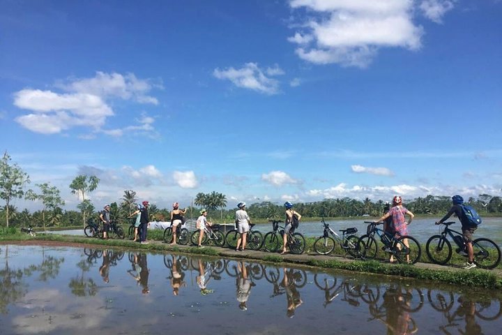 Passeio de bicicleta elétrica pelos terraços de arroz, templos e aldeias de Ubud na Indonésia, foto 13 | wizardtrip