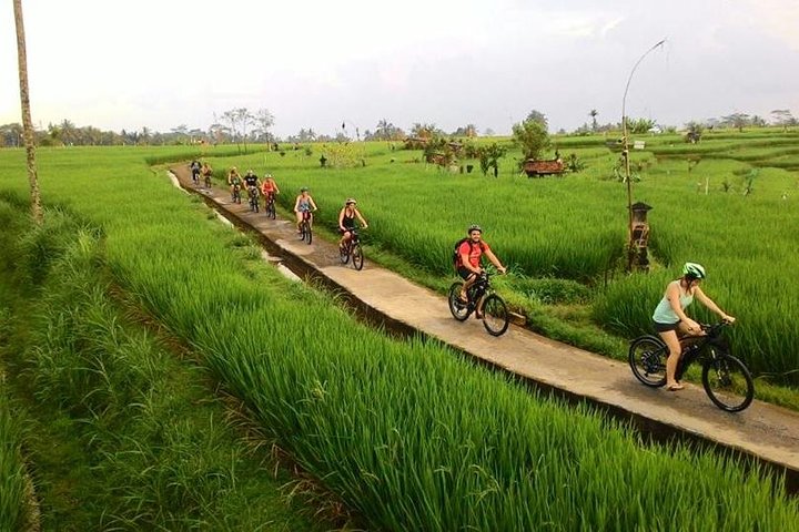 Passeio de bicicleta elétrica pelos terraços de arroz, templos e aldeias de Ubud na Indonésia, foto 15 | wizardtrip