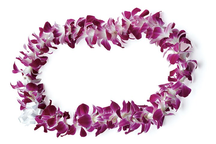 Honolulu Private Airport Transfer (Arrival with Lei or Departure) | wizardtrip