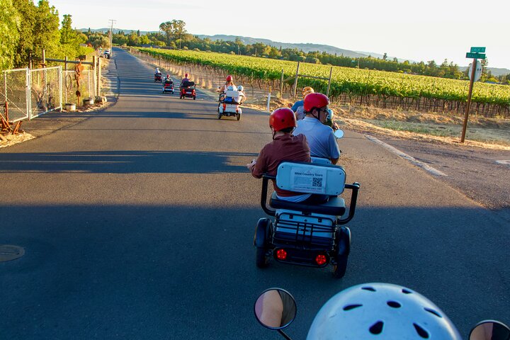 Sonoma Wine Country Electric Trike & Wine Tour - 3 uur | wizardtrip