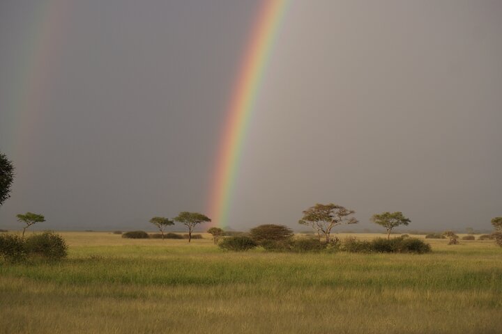 Safari camping en groupe de 4 jours en Tanzanie, avec la faune et les paysages de Tarangire, du Serengeti et du Ngorongoro, photo 9 | wizardtrip