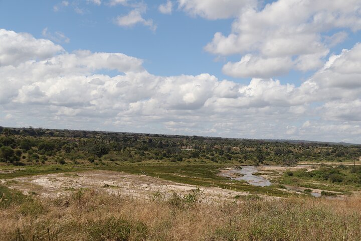Safari camping en groupe de 4 jours en Tanzanie, avec la faune et les paysages de Tarangire, du Serengeti et du Ngorongoro, photo 15 | wizardtrip