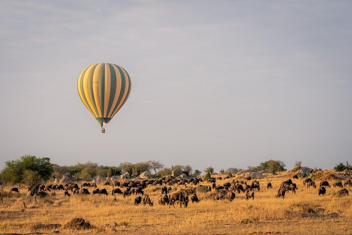 Ervaar een 4-daagse middenklasse groepsreis door Tanzania's Tarangire, Serengeti en Ngorongoro parken, foto 7 | wizardtrip