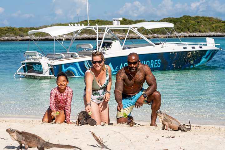 Speedboottour in Exuma Cays, Bahama's, met zwemmende varkens, leguanen en verpleegsterhaaien, foto 11 | wizardtrip