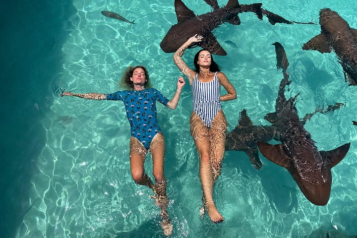 Speedboottour in Exuma Cays, Bahama's, met zwemmende varkens, leguanen en verpleegsterhaaien, foto 12 | wizardtrip