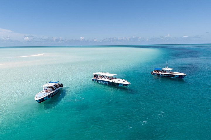 Speedboottour in Exuma Cays, Bahama's, met zwemmende varkens, leguanen en verpleegsterhaaien, foto 14 | wizardtrip