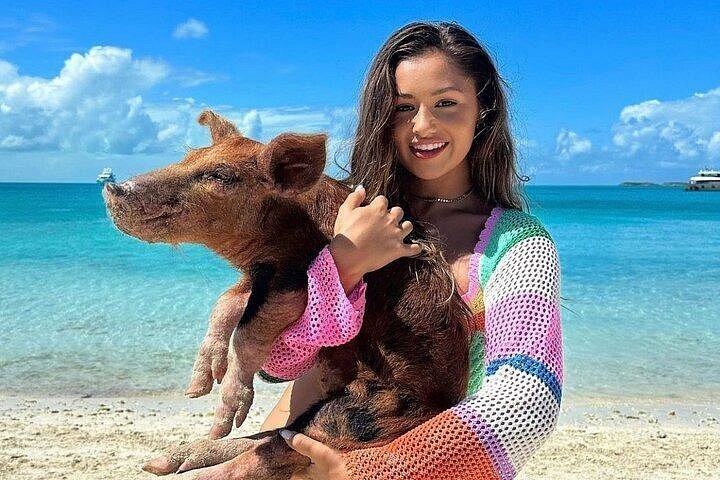Speedboottour in Exuma Cays, Bahama's, met zwemmende varkens, leguanen en verpleegsterhaaien, foto 18 | wizardtrip