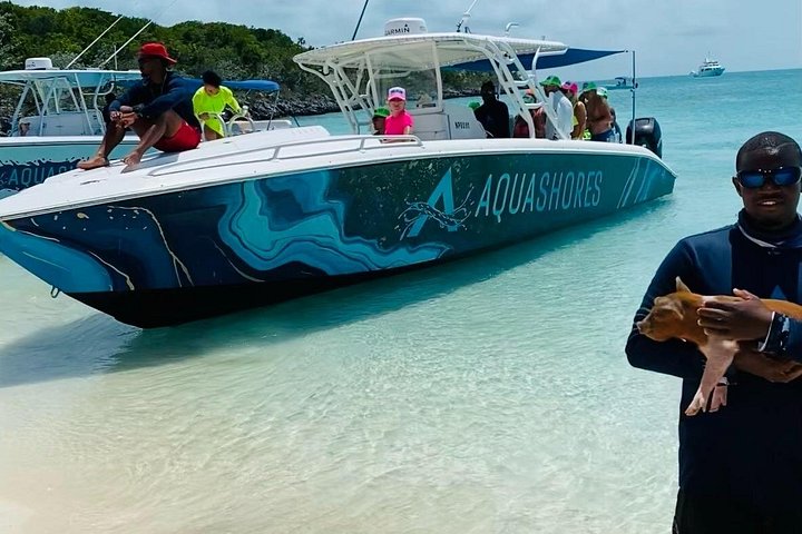 Speedboottour in Exuma Cays, Bahama's, met zwemmende varkens, leguanen en verpleegsterhaaien, foto 21 | wizardtrip