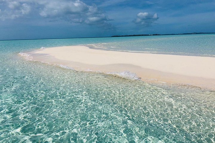 Speedboottour in Exuma Cays, Bahama's, met zwemmende varkens, leguanen en verpleegsterhaaien, foto 23 | wizardtrip
