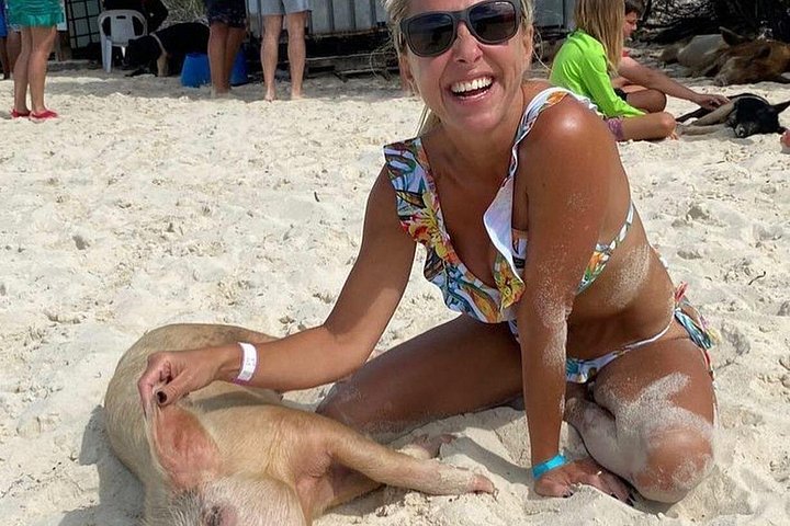 Speedboottour in Exuma Cays, Bahama's, met zwemmende varkens, leguanen en verpleegsterhaaien, foto 29 | wizardtrip