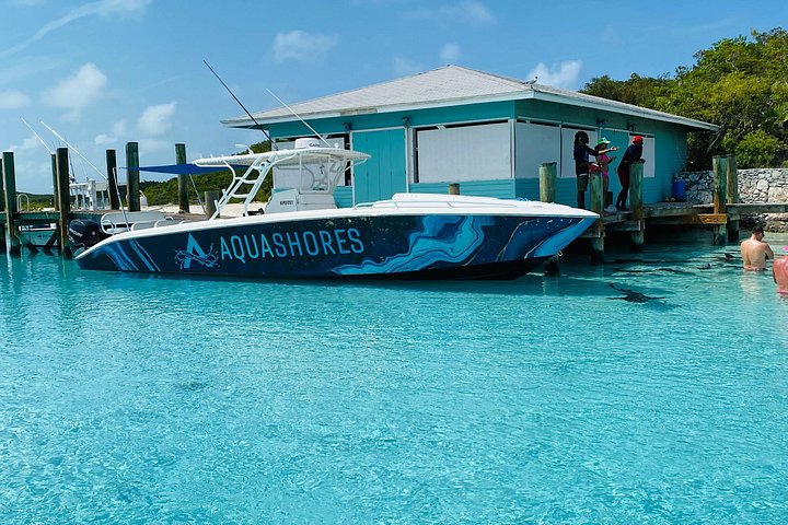 Speedboottour in Exuma Cays, Bahama's, met zwemmende varkens, leguanen en verpleegsterhaaien, foto 32 | wizardtrip