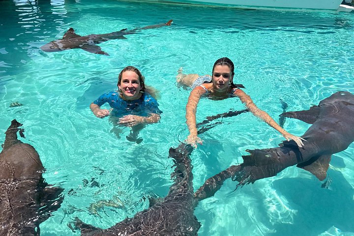 Speedboottour in Exuma Cays, Bahama's, met zwemmende varkens, leguanen en verpleegsterhaaien, foto 36 | wizardtrip